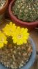 IMG-20170514-WA0002
