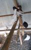 IMG-20180610-WA0112