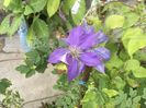 A59A5BB6-6597-4648-AC35-9364B3F9FAD5