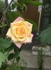 2E5F1513-65AF-4DAB-B337-7371CAA91A5C