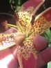 IMG-20180615-WA0004