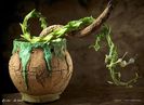 Mark Follon: Ceropegia