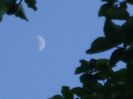 Luna Noua in Fecioara