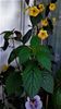 20180504_081508 (2)