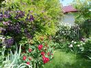 27 mai (29)