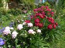 27 mai (73)