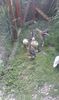 IMG-20180624-WA0020