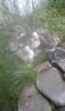 IMG-20180624-WA0022
