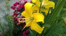IMG-20180625-WA0038