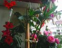 Nuovo_1_Photo8455