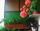 Nuovo_1_Photo8457