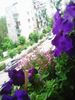 Nuovo_1_Photo8459