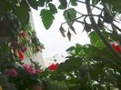 Nuovo_1_Photo8461