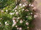30 mai (68)