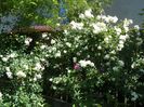 30 mai (98)