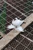20180626_115716 (2)