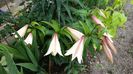 IMG-20180630-WA0077