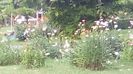 IMG-20180701-WA0080