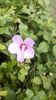 IMG-20180701-WA0108