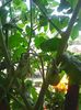 Photo8623