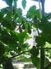 Photo8624