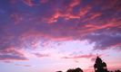 Nuovo_1_Photo8543