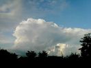 Nuovo_1_Photo8326