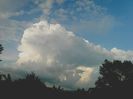 Nuovo_1_Photo8327