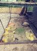 20180702_102840_Film1