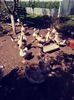 20180702_103625_Film1
