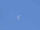 Ultimul patrar, Luna in Berbec