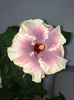 205B3A8B-DB72-4D4D-A514-9402FEB44A22