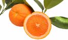 Citrus sinensis vanilie
