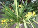 IMG-20180516-WA0015