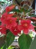 thumbnail (8) Kerstin