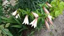 IMG-20180630-WA0056