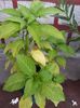 20180715_140208[1]