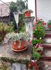 20180715_135909[1]