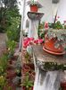 20180715_135917[1]