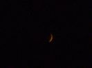 Luna noua in Leu