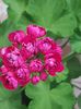 3977d6c8-5096-4c5a-aff4-09fd5724e335