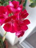 IMG-20180716-WA0025