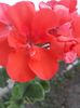 IMG-20180716-WA0024