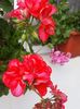 IMG-20180716-WA0015