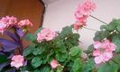 Nuovo_1_Photo8861