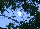Luna in crestere in Sagetator