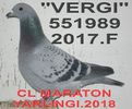 2017.551989 F VIRGIL+ - Copy