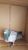 received_1224410054262030