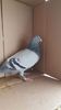 received_1224409967595372