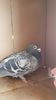 received_1224409164262119
